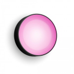 Philips Hue WCA Daylo Outdoor Wall Lantern