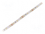LED tape | white cold | 2835 | 12V | LED/m: 60 | 8mm | IP65 | 12W/m