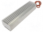 Heating element: heater | heating | LM-Double | 150W | 230VAC | IP54