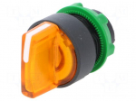 Switch: rotary | Stabl.pos: 2 | 22mm | orange | Illumin: LED | IP66 | Pos: 2