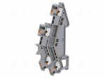 Splice terminal: rail | PTTBS | 16A | for DIN rail mounting | push-in