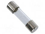 Fuse | 500mA | 250V | 5x20mm | 10pcs.