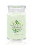 Yankee Candle Cucumber Mint Cooler Scented Candle 567 g