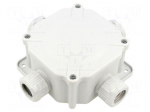 Enclosure: junction box | X: 100mm | Y: 100mm | Z: 67mm | wall mount