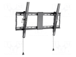 Gembird WM-80T-01 TV Wall Mount (Tilt) 37"-80" / black