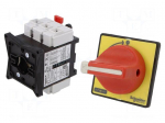Main emergency switch-disconnector | Poles: 3 | on panel | 32A | IP65