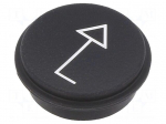 Button | round | &Oslash;21mm | black | 09