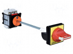 Main emergency switch-disconnector | Poles: 3 | on panel | 32A | IP65