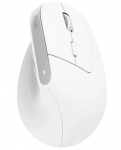 Trust Bayo Wireless + Bluetooth Mouse 2400 DPI
