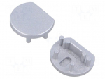 Cap for LED profiles | silver | 20pcs | ABS | PEN12