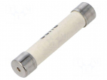 Fuse: fuse | 1A | 250VAC | time-lag | ceramic,cylindrical | 6.3x32mm