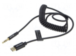 Cable | Jack 3.5mm 3pin plug,USB C plug | gold-plated | 1m | black