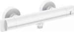 Thermostatic shower faucet
