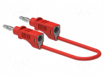 Test lead | 60VDC | 30VAC | 12A | banana plug 4mm,both sides | Len: 1m