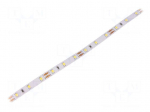 LED tape | white cold | 2835 | 12V | LED/m: 60 | 8mm | IP20 | 12W/m