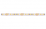 LED strip 24V 9.6W/m hermetic IP65 neutral white 4000K 921lm/m