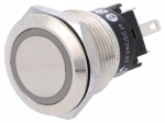 Switch: vandal resistant | Pos: 2 | SPDT | 3A/240VAC | 3A/240VDC | &Oslash;19mm