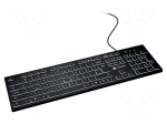 Keyboard | HERRING GLOW | black | USB A plug | wired,slim,US layout
