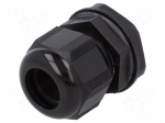 Cable gland | PG21 | IP66,IP68 | Mat: polyamide | black | Pcs: 10