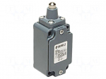 Limit switch | pin plunger &Oslash;10mm | NO + NC | 10A | max.500VAC | PG13,5