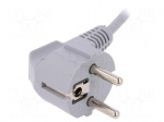 Cable