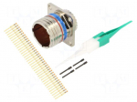 Connector: military | socket | male | PIN: 37 | straight | crimped | 5A
