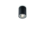 PHILIPS PILLAR single spot black 1x50W 230V gaismeklis