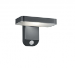 Trio Esquel solar sienas lampa anthracite motion sensor  R22261142 4017807452723