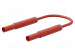Test lead | 19A | banana plug 4mm,both sides | insulated | Len: 1m