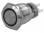 Switch: vandal resistant | Pos: 2 | SPDT | 0.5A/220VAC | 1A/24VDC | IP67