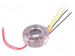 Transformer: toroidal | 60VA | 230VAC | 24V | 24V | 1.25A | 1.25A | 0.8kg
