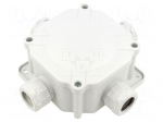 Enclosure: junction box | X: 100mm | Y: 100mm | Z: 67mm | wall mount