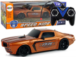 M&auml;nguala | PC | Konsoolid | Tarvikud // Raadio teel juhitavad m&auml;nguasjad ja tarvikud // Auto Sportowe R/C 1:18 Brązowe Champion Pilot