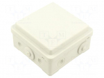 Enclosure: junction box | X: 100mm | Y: 100mm | Z: 52mm | wall mount