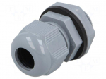 Cable gland | PG29 | IP66,IP68 | Mat: polyamide | dark grey | Pcs: 10