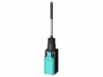 Limit switch | spring length 142,5mm | NO + NC | 10A | max.400VAC