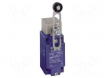 Limit switch | NO + NC | 10A | max.250VAC | max.250VDC | M20 | IP66