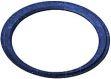 PRAGMA Sealing Ring Dn200 145230