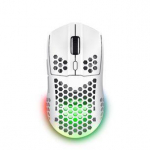 Computer mouse Trust  MOUSE USB OPTICAL WRL GXT929W/HELOX LIGHTW WHITE 25390