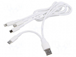 Cable | USB 2.0 | nickel plated | 1.2m | white | 10W