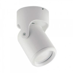 Surface-mounted light DOMEN, excl. GU10, max 35W, IP20