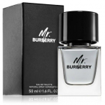 Burberry Mr. Burberry Perfume EDT 50 ml
