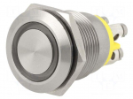 Switch: vandal resistant | Pos: 2 | SPST-NO | 0.05A/24VDC | IP66