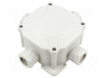 Enclosure: junction box | X: 100mm | Y: 100mm | Z: 67mm | wall mount