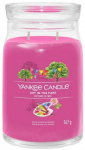 Yankee Candle Signature Scented Candle 567g