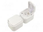 Connector: AC supply | socket | 2P+PE | 250VAC | 16A | white | wall mount