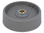Knob | without pointer | polyamide | &Oslash;shaft: 6mm | &Oslash;50x16mm | grey