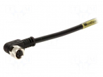 Connector: M8 | female | PIN: 3 | angled 90&deg; | with lead | plug | 3A | IP67