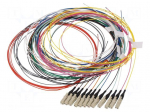 Optic fiber pigtail | OM2 | LC/UPC | 2m | LSZH | Connector colour: blue