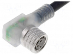 Connection lead | M8 | PIN: 3 | angled | 5m | plug | 30VAC | 4A | -25&divide;80&deg;C